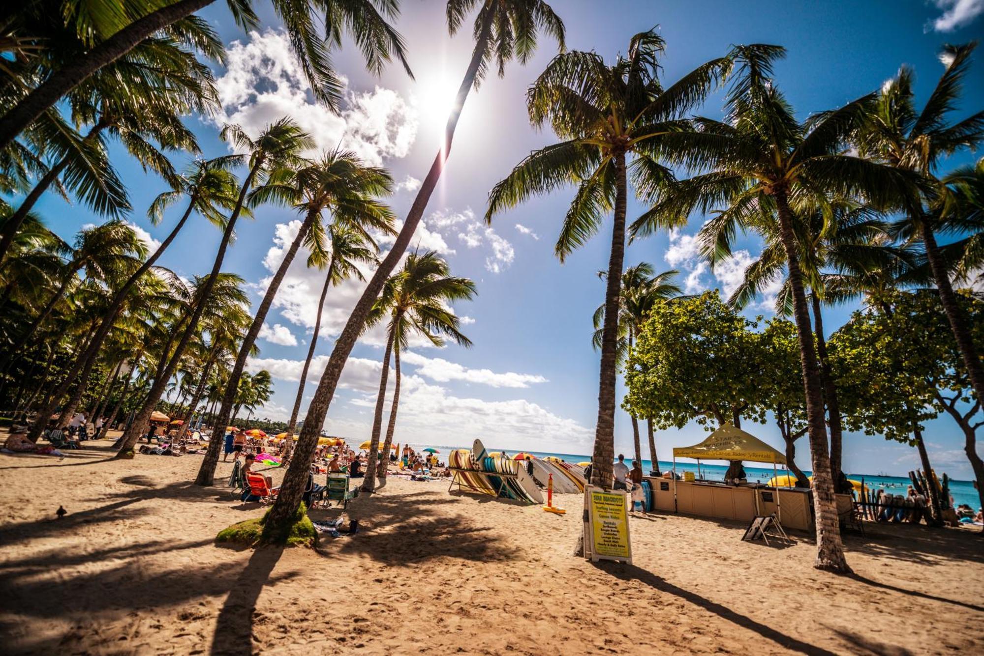 Mountain View Condo Near Beach With Free Parking! Honolulu Exterior foto