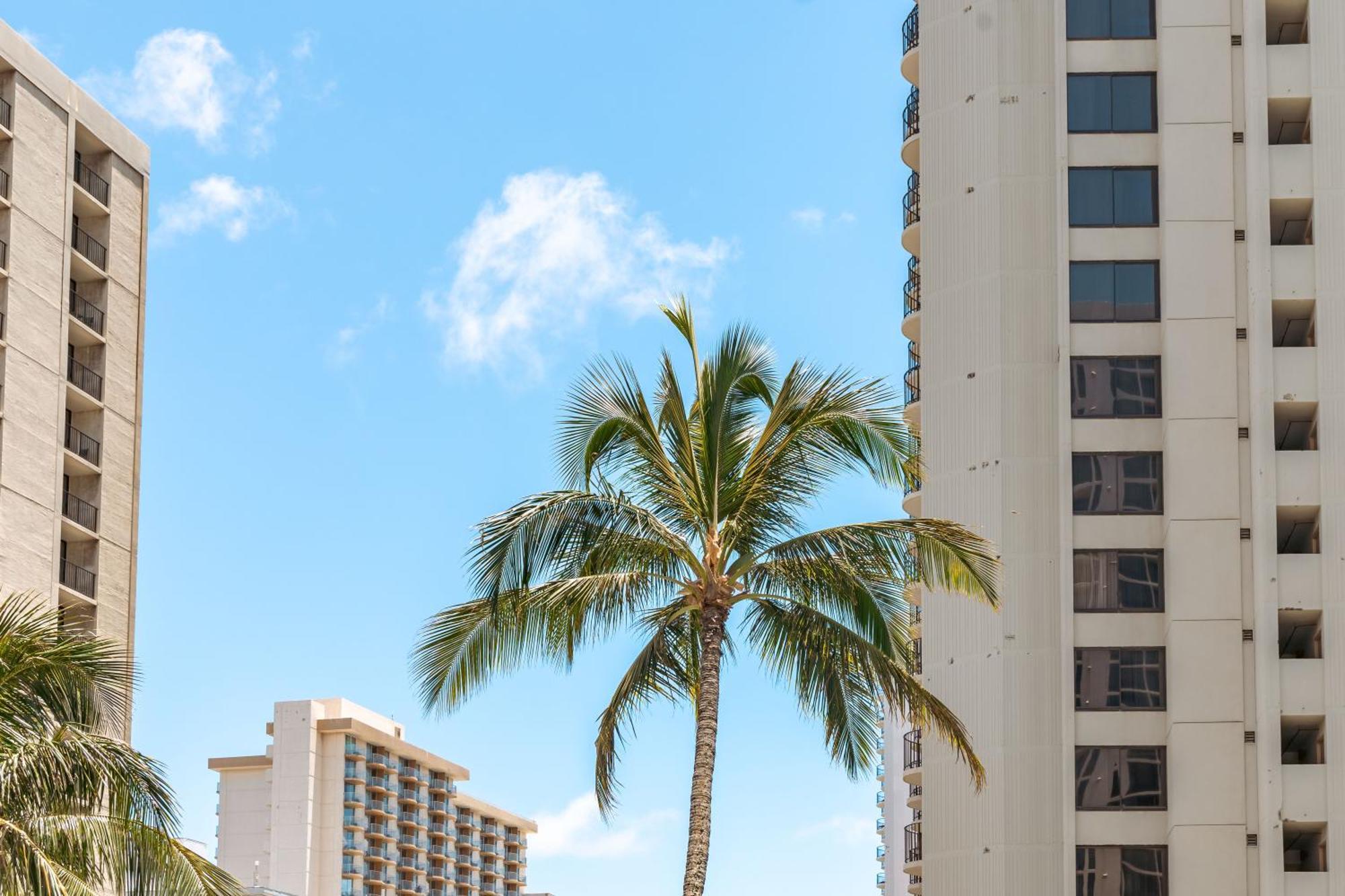 Mountain View Condo Near Beach With Free Parking! Honolulu Exterior foto